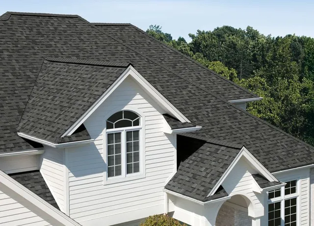 Professional roof maintenance Gutter Tune Up