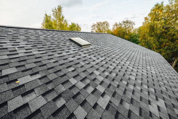 Gutter Tune Up roof repair in Middleton, WI